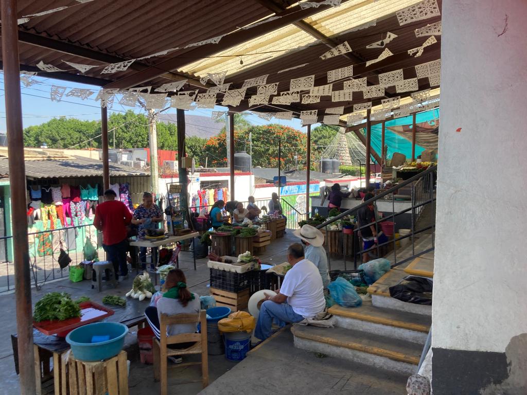 Ante la proliferación de ambulantes en el primer cuadro del municipio sureño de Tlaltizapán, la crisis en los locales el mercado Pablo Torres Burgos de la cabecera municipal de Tlaltizapán se ha mantenido y para este fin de año les bajaron las ventas hasta en un 60 por ciento, así lo manifestó el Presidente de la Unión de Locatarios de este centro de abasto local, Ignacio Salgado Ocampo integrante también de la Federación de comerciantes de la zona sur.