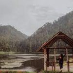 La imagen actual no tiene texto alternativo. El nombre del archivo es: Zempoaala.jpg