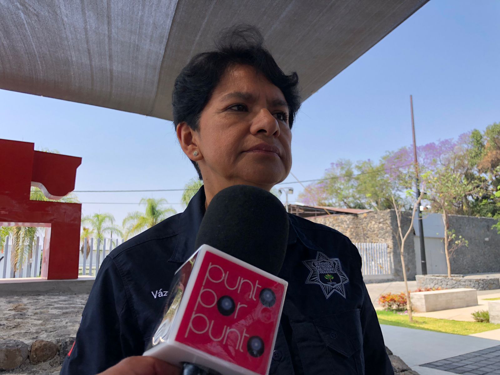 Flores Magón, Centro, Antonio Barona y Santa María, colonias con más