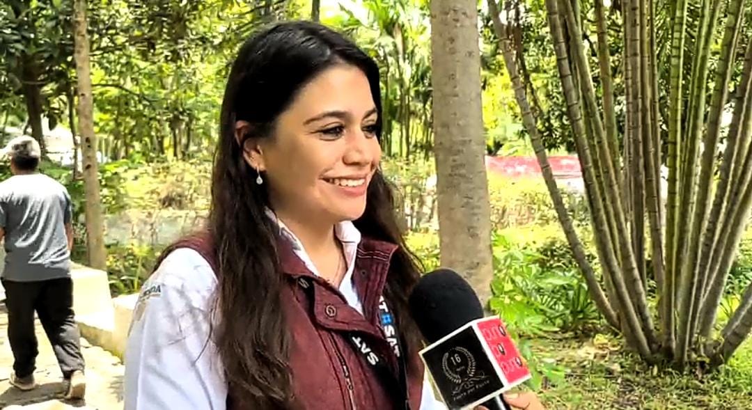 SAT pone a disposición del contribuyente una nueva aplicación.