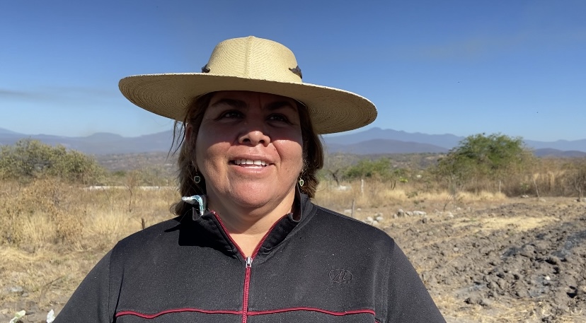 Agricultores afectados por sequía, siguen a la espera de que Sedagro entregue apoyos.