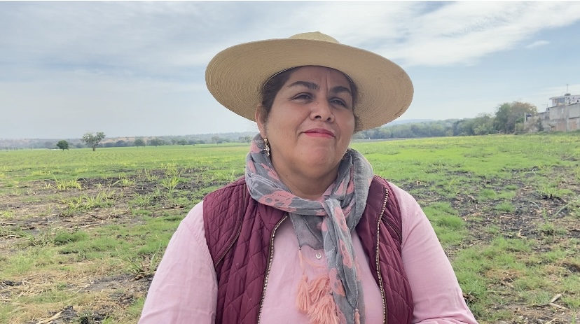 Larga espera para que los campesinos del sur reciban apoyos por sequía.