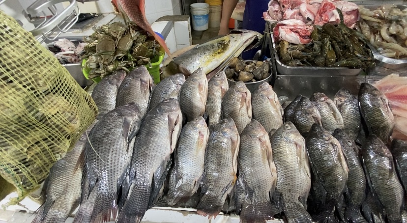 Comerciantes de mariscos del Mercado de Jojutla registran buenas ventas a 15 días de la cuaresma.