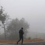 La imagen actual no tiene texto alternativo. El nombre del archivo es: descarga-31.jpg