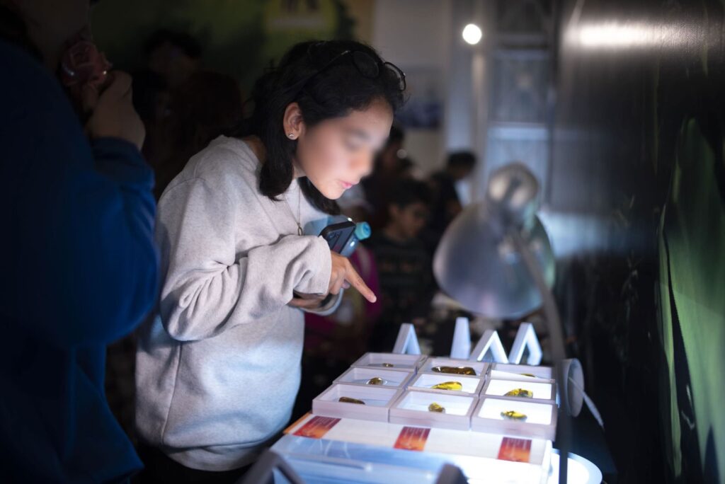 La imagen actual no tiene texto alternativo. El nombre del archivo es: c4fa1d49-8d37-4fd0-9598-4a9c5b227d7a.jpg